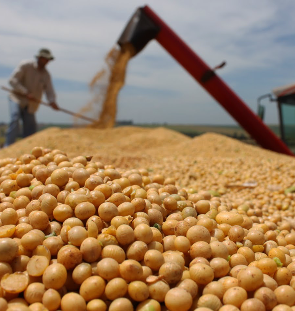 Sojización y reconfiguración productiva: impactos económicos y territoriales en el noreste bonaerense (2002–2019)