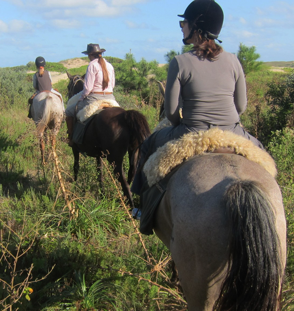 Caracterización de las estrategias de comunicación de empresas de turismo rural y turismo enológico del Uruguay