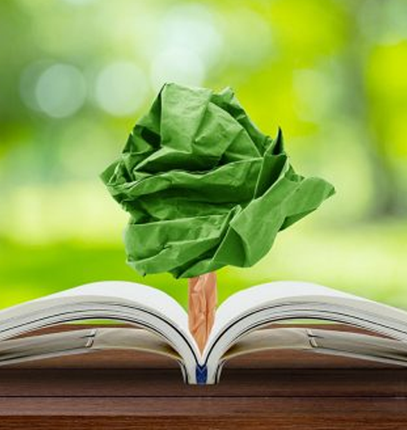 Avances y tensiones en la incorporación de la Educación Ambiental en la formación docente de Biología (1999–2022)