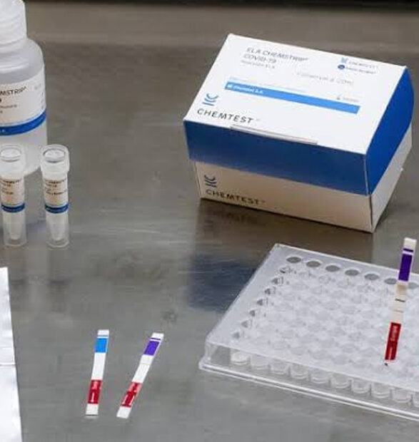 La bioinformática y la investigación en las ciencias y tecnologías de la vida; una reseña sobre lo realizado en el Laboratorio de Ingeniería Genética y Biología Celular y Molecular