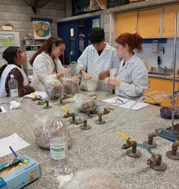 Transformación de residuos agroforestales en alimento: evaluación productiva, nutricional y educativa del cultivo de Pleurotus ostreatus en el ámbito de educación técnica