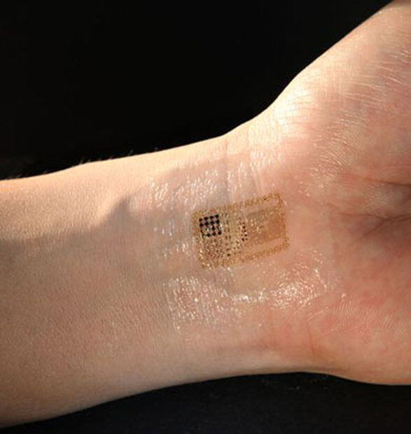 Una propuesta educativa sobre E-skin o piel electrónica desde la Filosofía de la biología